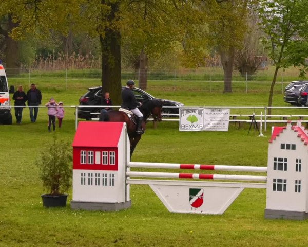 Reitturnier Wahlitz 2023
