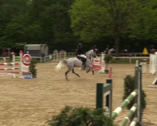 Reitturnier Dinslaken-Hiesfeld 2023