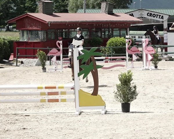 Reitturnier Giubiasco 2023