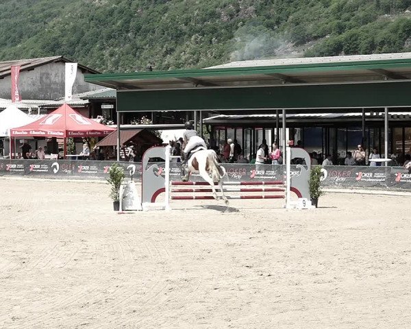 Reitturnier Giubiasco 2023