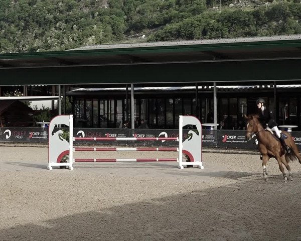 Reitturnier Giubiasco 2023