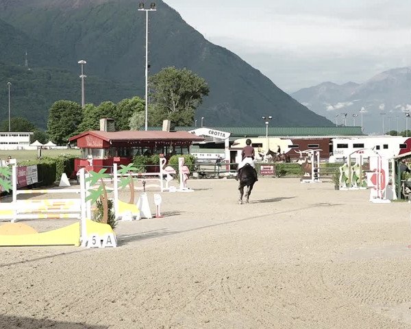 Reitturnier Giubiasco 2023