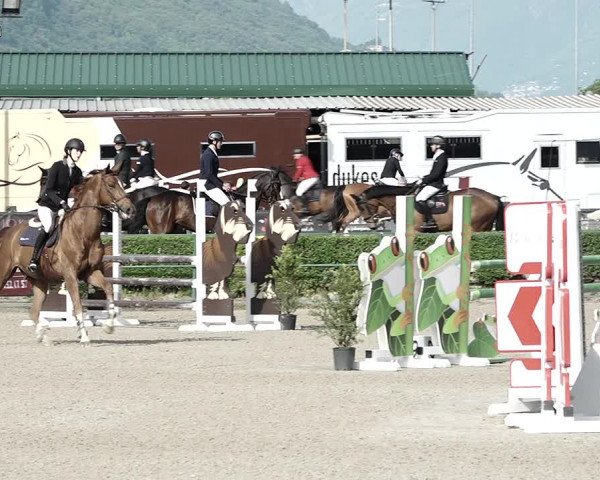Reitturnier Giubiasco 2023