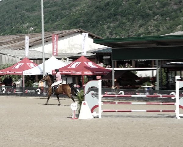 Reitturnier Giubiasco 2023