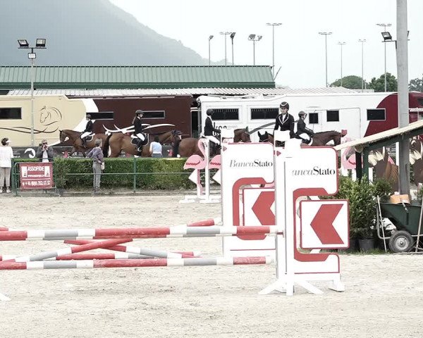 Reitturnier Giubiasco 2023