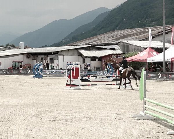 Reitturnier Giubiasco 2023