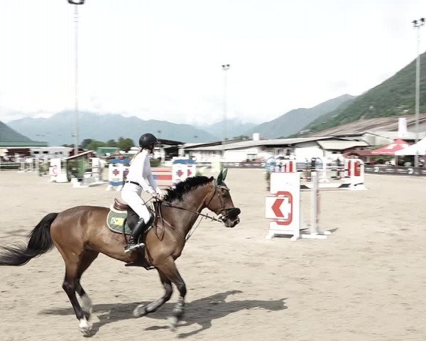 Reitturnier Giubiasco 2023