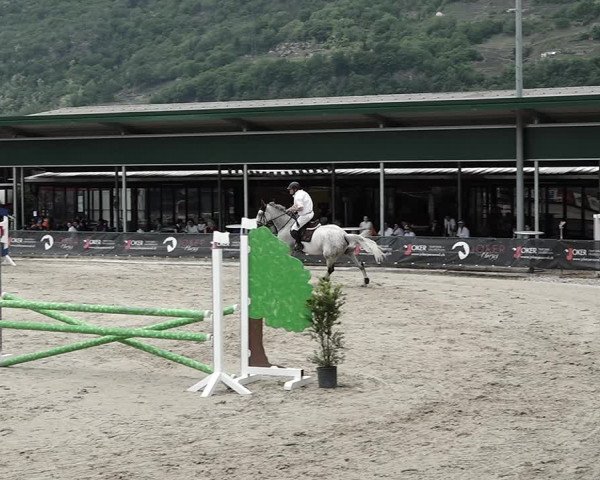 Reitturnier Giubiasco 2023