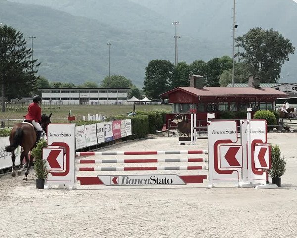 Reitturnier Giubiasco 2023
