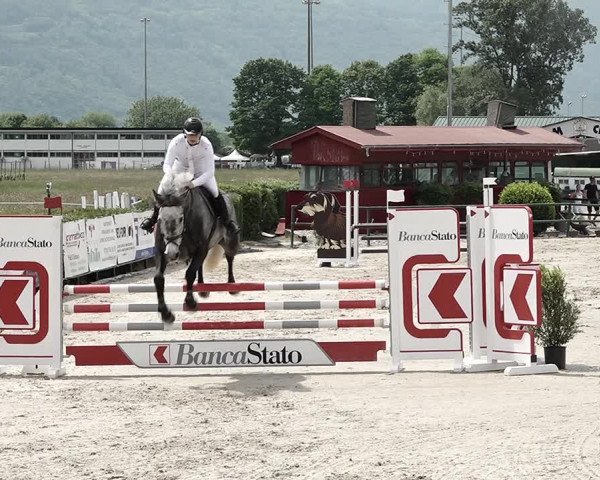 Reitturnier Giubiasco 2023