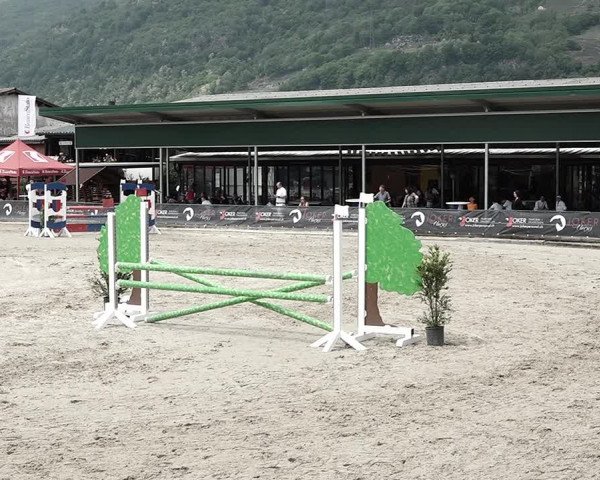 Reitturnier Giubiasco 2023