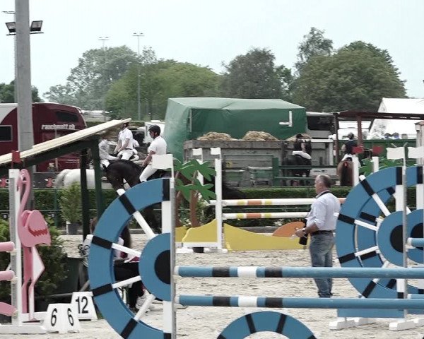 Reitturnier Giubiasco 2023