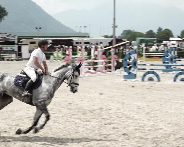 Reitturnier Giubiasco 2023