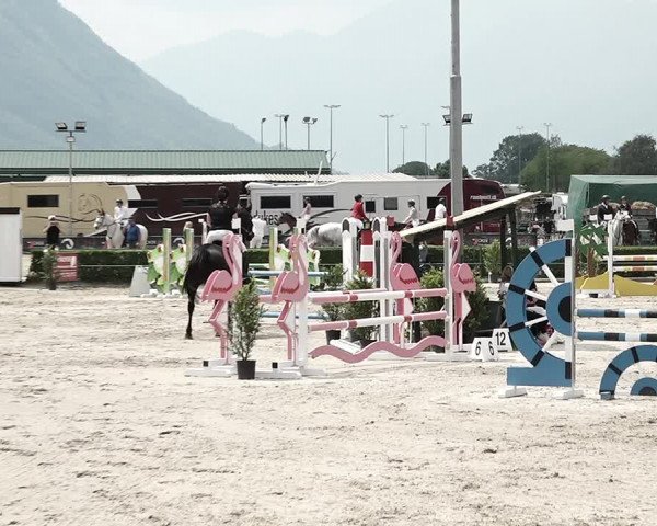 Reitturnier Giubiasco 2023
