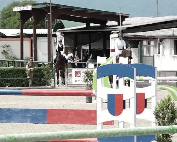 Reitturnier Giubiasco 2023