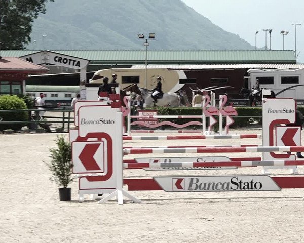 Reitturnier Giubiasco 2023