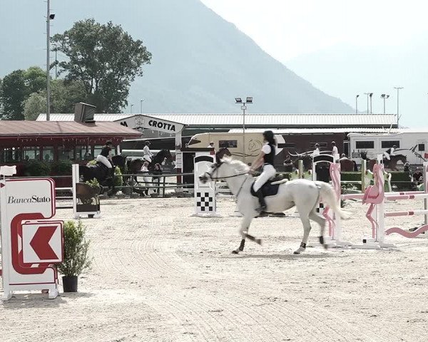 Reitturnier Giubiasco 2023