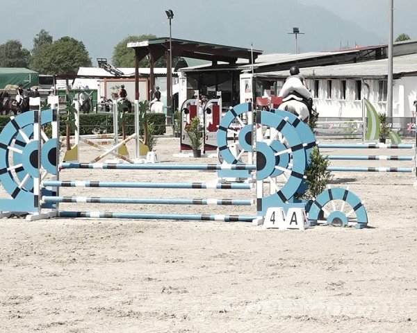 Reitturnier Giubiasco 2023