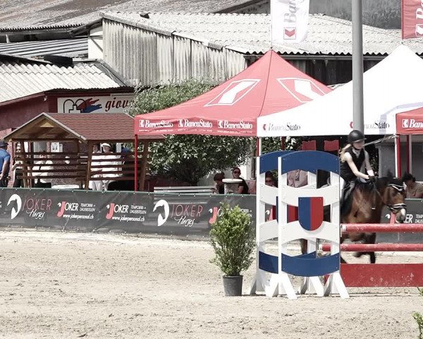 Reitturnier Giubiasco 2023