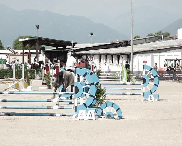 Reitturnier Giubiasco 2023
