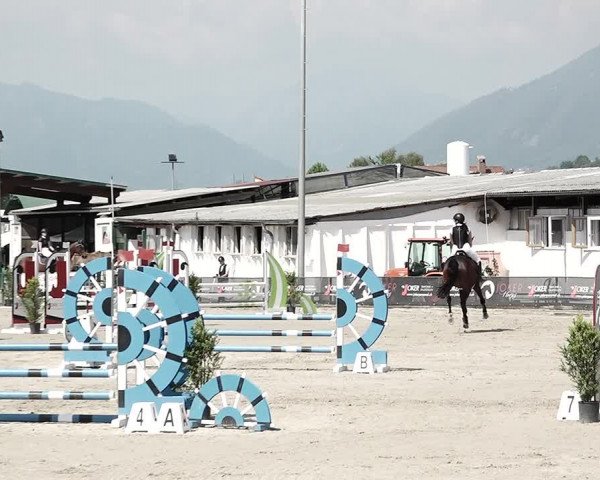 Reitturnier Giubiasco 2023