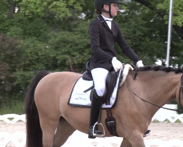 Video von Moonlight 31