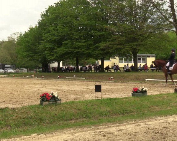 Reitturnier Dinslaken-Hiesfeld 2023