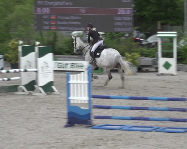 Reitturnier Monheim - Gut Blee 2023