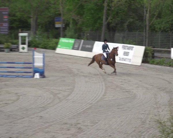 Reitturnier Monheim - Gut Blee 2023