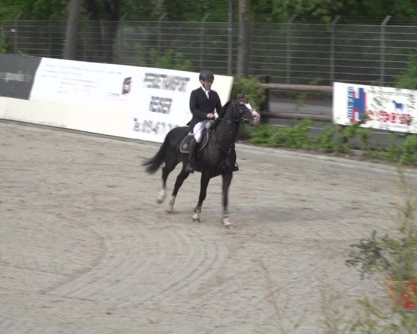 Reitturnier Monheim - Gut Blee 2023