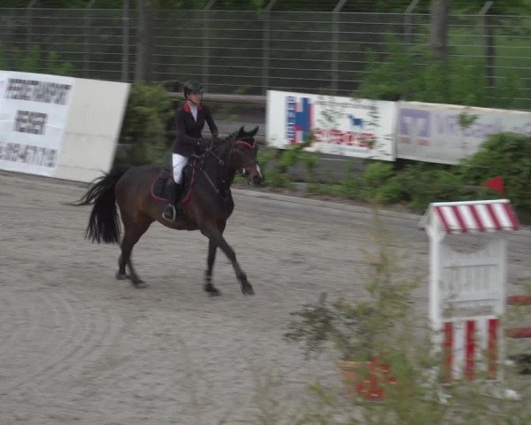 Reitturnier Monheim - Gut Blee 2023