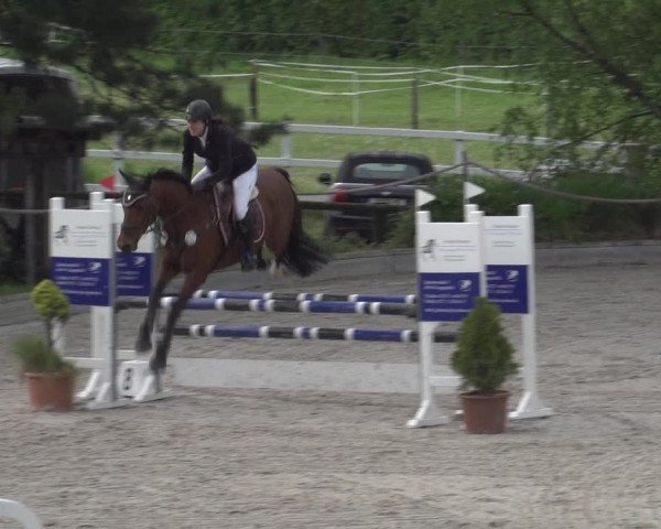 Reitturnier Monheim - Gut Blee 2023