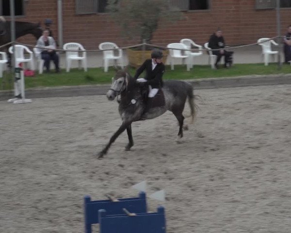 Reitturnier Monheim - Gut Blee 2023