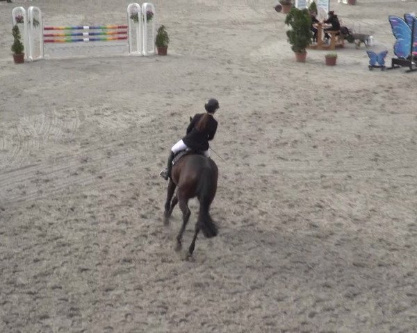 Reitturnier Monheim - Gut Blee 2023