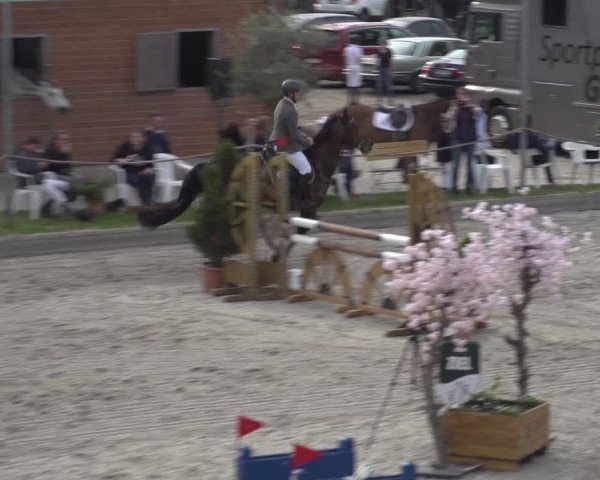 Reitturnier Monheim - Gut Blee 2023