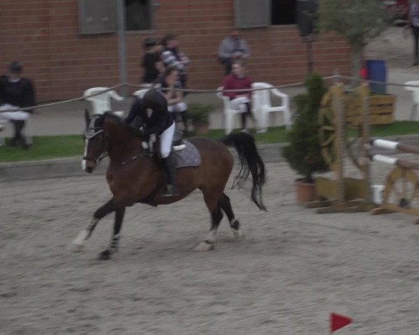 Reitturnier Monheim - Gut Blee 2023