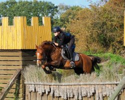 jumper Lucky 1760 (Pony without race description, 2013)