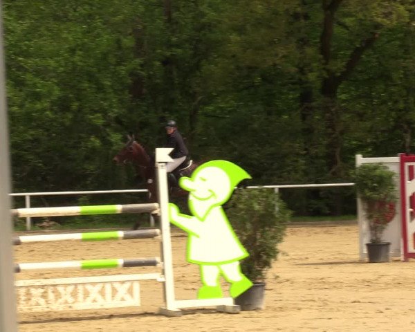 Reitturnier Dinslaken-Hiesfeld 2023