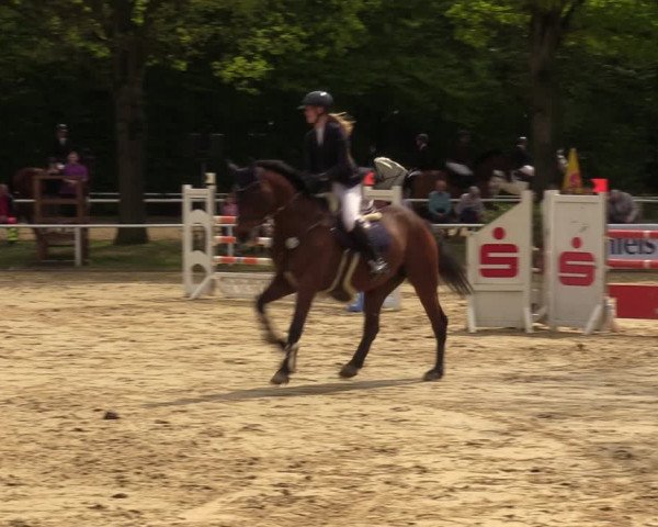 Reitturnier Dinslaken-Hiesfeld 2023