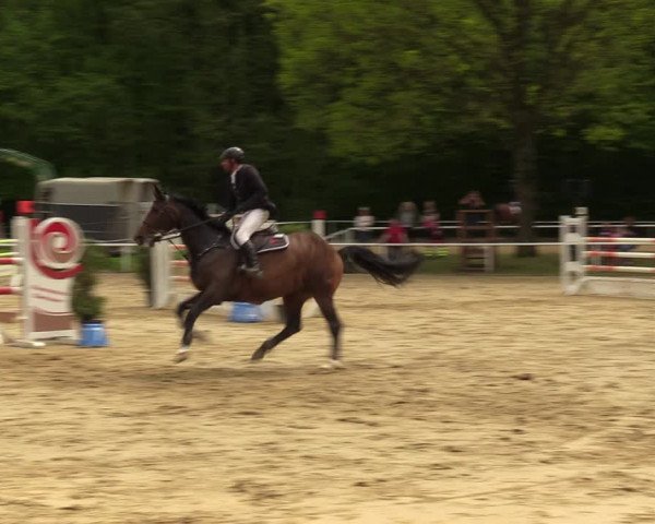 Reitturnier Dinslaken-Hiesfeld 2023