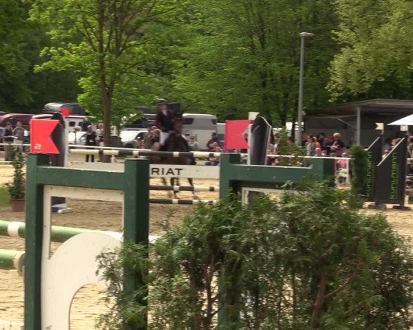 Reitturnier Dinslaken-Hiesfeld 2023
