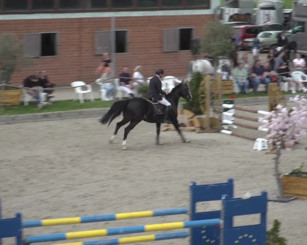 Reitturnier Monheim - Gut Blee 2023