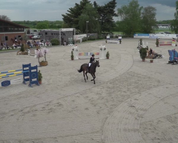 Reitturnier Monheim - Gut Blee 2023