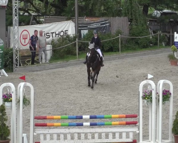Reitturnier Monheim - Gut Blee 2023