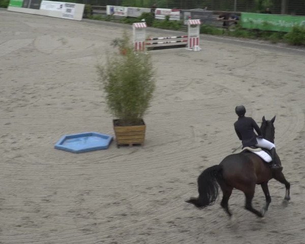 Reitturnier Monheim - Gut Blee 2023