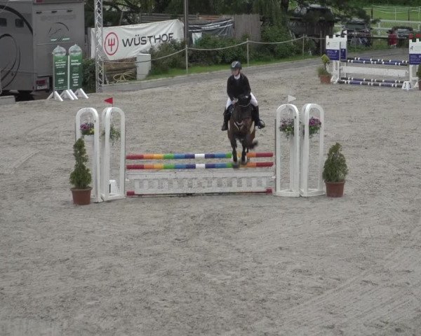 Reitturnier Monheim - Gut Blee 2023