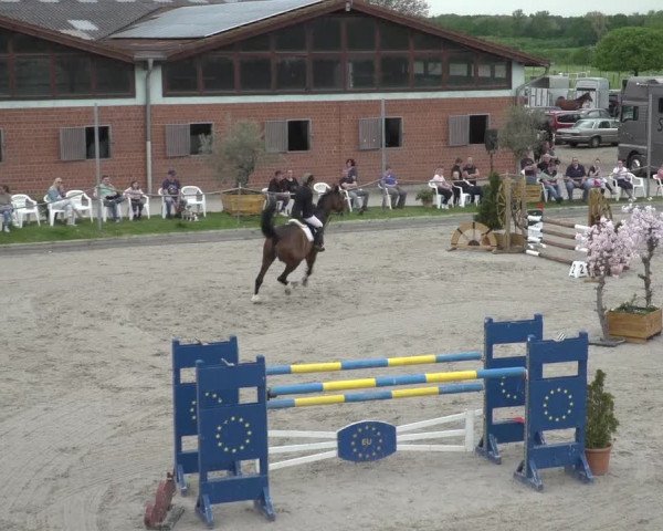 Reitturnier Monheim - Gut Blee 2023