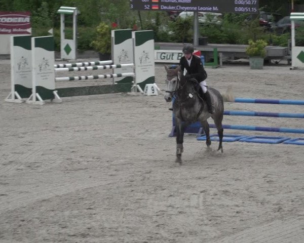 Reitturnier Monheim - Gut Blee 2023