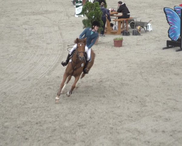 Reitturnier Monheim - Gut Blee 2023