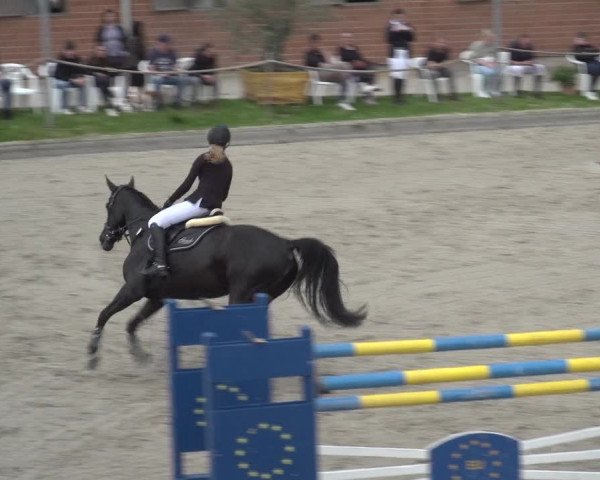 Reitturnier Monheim - Gut Blee 2023